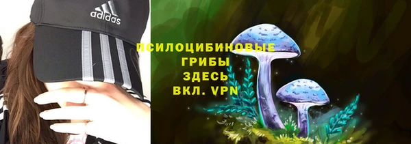 герыч Алзамай