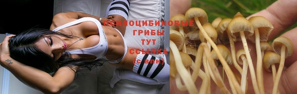 дживик Алексин