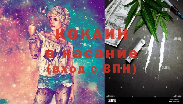 дживик Алексин