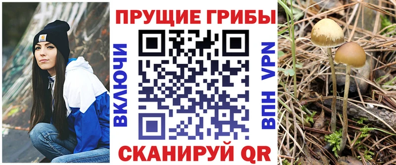 Галлюциногенные грибы мухоморы  Гурьевск 